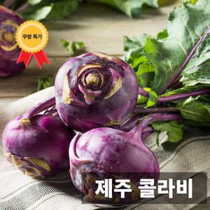 금메달농수산 농장직송 제주도 최상급 콜라비 로얄과, 1개, 3kg