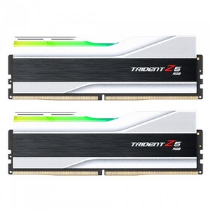 G.SKILL DDR5-6400 CL32 TRIDENT Z5 RGB J 실버 패키지 (96GB(48Gx2)), 2개