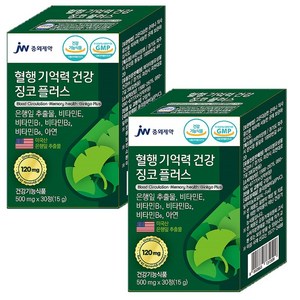 JW 중외제약 징코플러스 은행잎추출물(미국산) 120mg 비타민E 비타민B1 B2 B6 아연, 30정, 2개