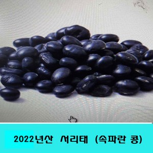 잡곡은보약 2022년산 서리태1kg 2kg 국산, 2개, 1kg