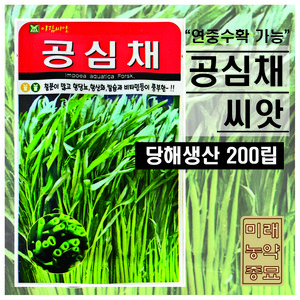 공심채 씨앗 200립 모닝글로리 쌈 채소 종자 씨 봄 여름 가을 공심채씨 AR, 1개