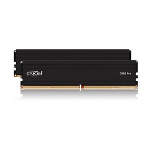 마이크론 Crucial DDR5-5600 CL46 PRO 패키지, 32GB(16Gx2), 2개