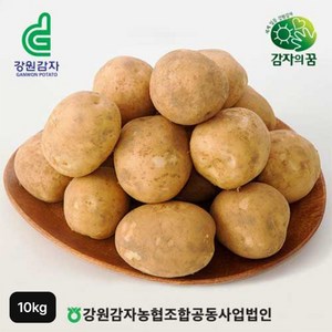 강원특별자치도 특등급 햇 감자 10kg[34633322], 1개