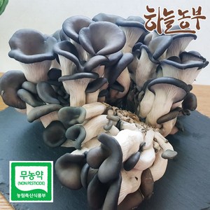 하늘농부 친환경 느타리버섯 300g 1kg, 1개, 느타리버섯 1kg