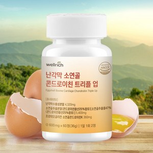 웰리치 난각막 소연골 콘드로이친 트리플업 60정, 1박스