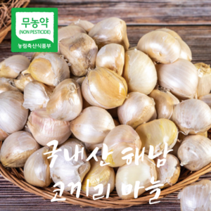 국산 알찬 무농약 코끼리마늘 쪽마늘, 1kg, 1박스