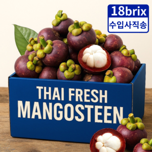 [수입사직송] 노마진 태국 생 망고스틴, 1개, 5kg (40-70입)