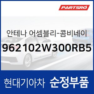 순정 안테나(색상 타임레스블랙) (962102W300RB5) 맥스크루즈, 1개