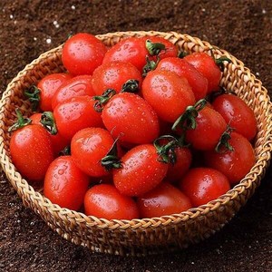 매장정품 [자연맛남] 달콤한 대추방울토마토 2kg (1-3번과) 38749, 1개