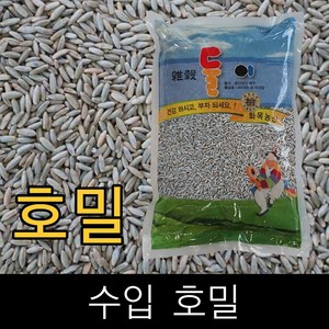 호맥 씨앗 10kg, 1개