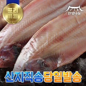 [특가할인] 군산 박대 서대 구이용 조림용 해풍건조 명품 제수용 말린 반건조생선, 박대 33~35cm, 10개