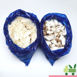 사라상회 꼬마새송이 2봉 팽이버섯 2봉 (총 8kg), 2개