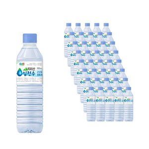 정식품 심천수 500mlx40개, 500ml, 40개