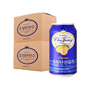 초정탄산수 유자, 350ml, 48개