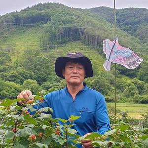 2024년 공기좋고 물좋은 경북 청도에서 수확한 최상품 급냉 산딸기 250g 500g 1kg, 1개, 최상품 산딸기 500g