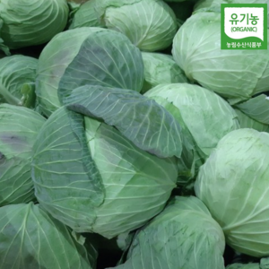 [하나로농수산] 제주 친환경 유기농 무농약 양배추, 2.5kg, 1박스