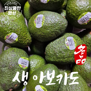 생아보카도 avocado 큰 아보카도 5개