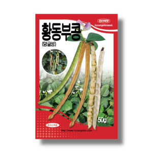 콩 씨앗 종자 밥콩 50g 손쉽게 재배가능한 덩굴성, 1개