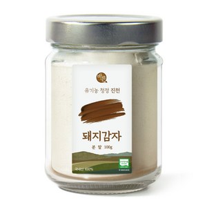 바른제품연구소 유기농 돼지감자분말 100g, 1개