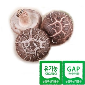 한그루 유기농/GAP 생표고버섯(특등급) 1kg당 20 000원, 1개, 1kg