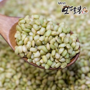 힘찬농부오달봉 국산 녹미 녹진주 녹색쌀, 2kg, 1개