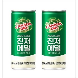 캐나다드라이 진저에일, 60개, 250ml