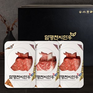 함평천지한우 1+ 구이선물세트 6호 등심/특수부위 1.2kg, 1개