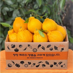 고당도특수농법 14Brix 산지직송 제주 한라봉, 1박스, 2kg(중소과)