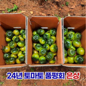 부산 대저 짭짤이 토마토 45년전통 농협인증 1.5kg 2.5kg, 대저짭짤이토마토, S-2S, 1개