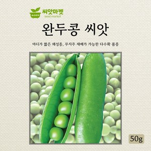 다농 완두콩 씨앗 50g, 1개