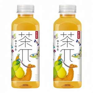 차파이 유자 녹차, 500ml, 2개