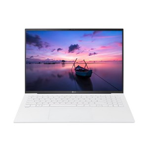 LG전자 그램16 16ZD90R-EX7VK / skit, WIN11, 32GB, 4608GB, 스노우 화이트