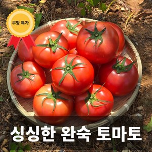 금메달농수산 싱싱한 프리미엄 국내산 완숙토마토 대과 중소과, 1개, 3kg(중소과 3-4번다마)