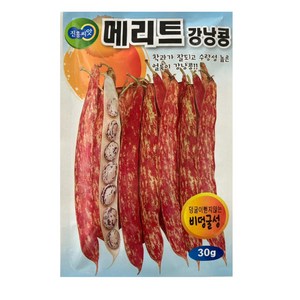 강남콩 씨앗 얼룩강낭콩 30g 옛 그맛 재래종 비덩굴성 토종, 1개