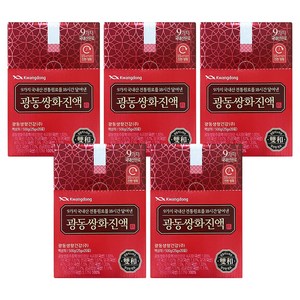 광동쌍화진액 5박스(총 100포), 500g, 5박스