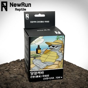 당장켜바 UVB+UVA 솔라글로 슈퍼썬램프, 70W, 1개, 70W