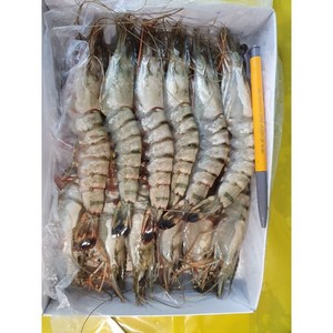 다원 새우 블랙타이거 12미 500g, 12개