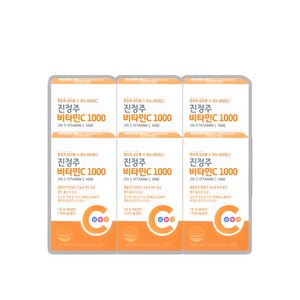 진정주 비타C1000 1100mg, 100정, 6개