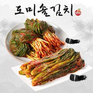 도미솔 맛있는 갓김치 1kg+파김치 1kg(총2kg)[34150465], 2개, 단일옵션