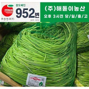 해돋이 농산 국내산 햇 마늘쫑(바라) 1kg 2kg 3kg 5kg 10kg(상세페이지꼭참조), 1개