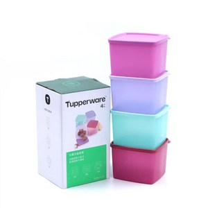 타파웨어 냉장고정리용기 800ml 0.8L 냉동실보관용기 4 종 세트, 구형 4색, 1세트