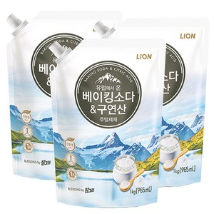 참그린 베이킹&구연산 주방세제 1kg리필/용기, 1kg, 3개