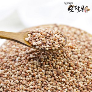 힘찬농부 수입 특찰수수 찰수수 수수쌀, 1개, 1KG