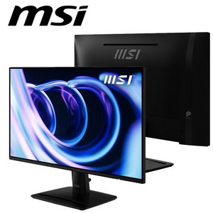 MSI FHD IPS 100Hz 모니터, 61cm, MP242A