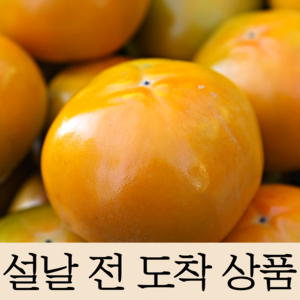 15bix 고당도선별 특품 햇 단감, 10kg 특대과 (41-46과), 1개