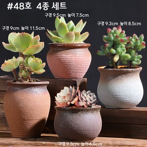 이누아 이쁜 수제도자기 화분통 다육이 베란다 사무실 인테리어 미니 화분 세트 48-55, 1세트, 48호4종