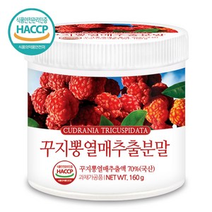 푸른들판 국산 꾸지뽕 열매 분말, 1개, 160g