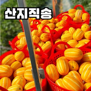 산지직송 고당도 성주 꿀 참외 가정용, 1세트, 2kg(대과)