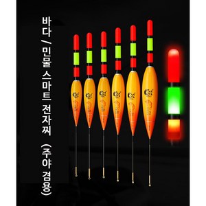 JD 바다 민물 스마트 전자찌 막대찌 3점등 대물 장대, 2개, JD06