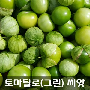 [해피플라워] 멕시칸 요리 재료 토마틸로 그린(Green) 씨앗 300립 / 봄 여름 파종 웰빙푸드 종자, 1개